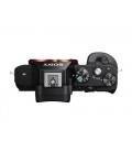 SONY ALPHA A7 CAMERA EVIL (CUERPO) 