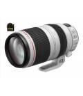 Canon EF 100-400mm f/4.5-5.6L IS II USM 