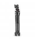 MANFROTTO 290 DUAL KIT TRIPODE CON ROTULA 496 RC2