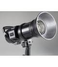 TRIOPO FLASH PROFESSIONAL F3-500W CON MANDO 