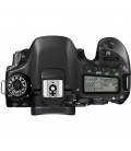 CANON EOS 80D (CUERPO)