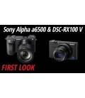 SONY ALPHA 6500 CUERPO (ILCE6500B)