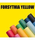 FONDO SUPERIOR 422 2.75X11 FORSYTHIA YELLOW (A-14)