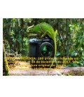 PANASONIC LUMIX DC-G9 CUERPO + EMPUÑADURA DMW-BGG9* GRATIS 